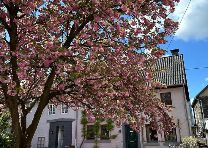 Appartement Kirschbluete Brauneberg
